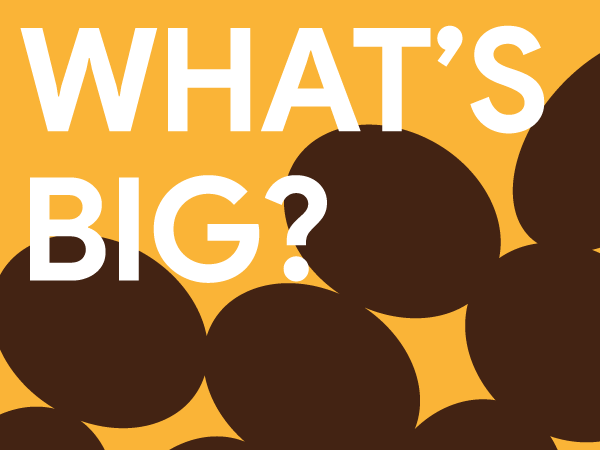What's BIG?